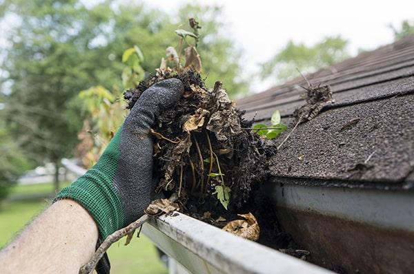 regular gutter cleaning can improve the appearance and curb appeal of your home